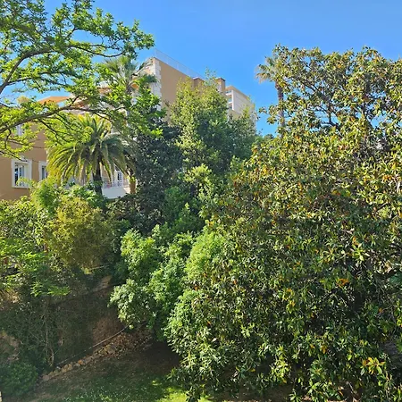 Studio Calme A 200M Des Plages Cannes Buitenkant foto